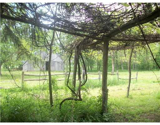 325 Freeman Falls Road Acme, PA 15610 - Photo 5 of 18 Land/Lot. Barn area thru the grapevines...