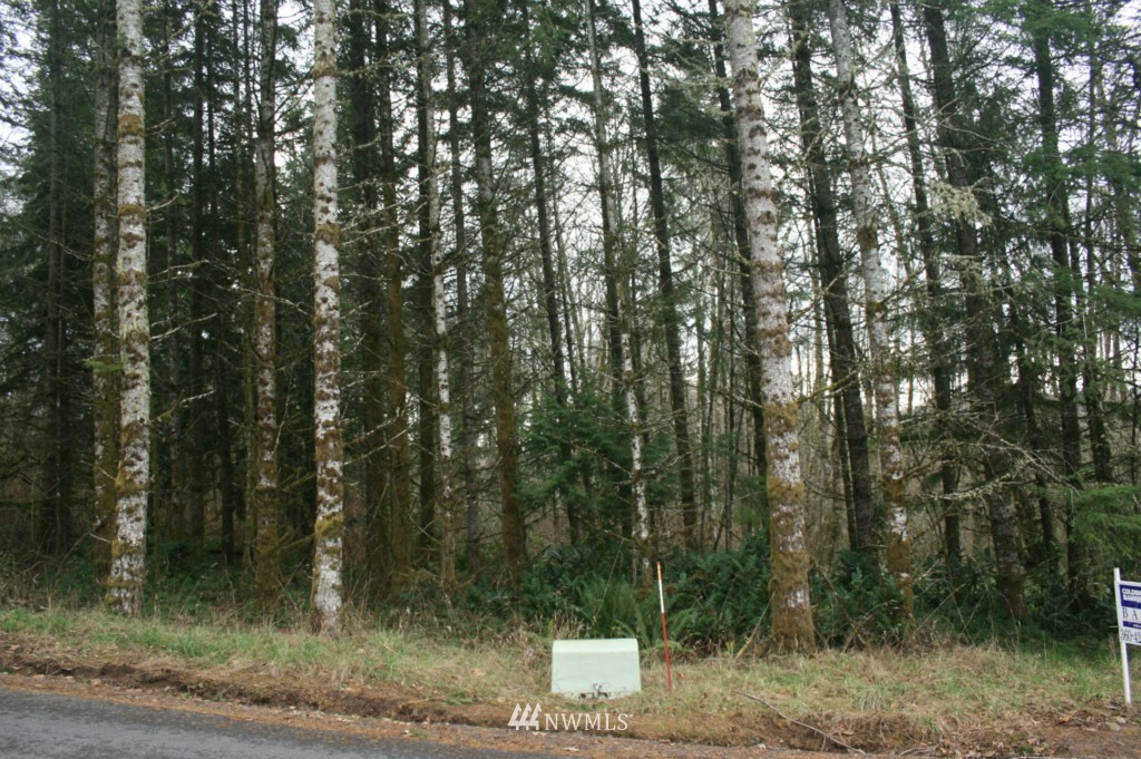 0 Wagner Road Kelso, WA 98626 - Photo 1 of 7 Gallery Image 1