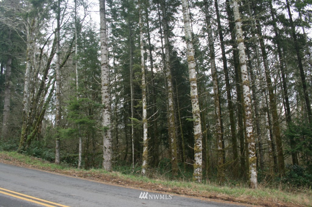 0 Wagner Road Kelso, WA 98626 - Photo 2 of 7 Gallery Image 2