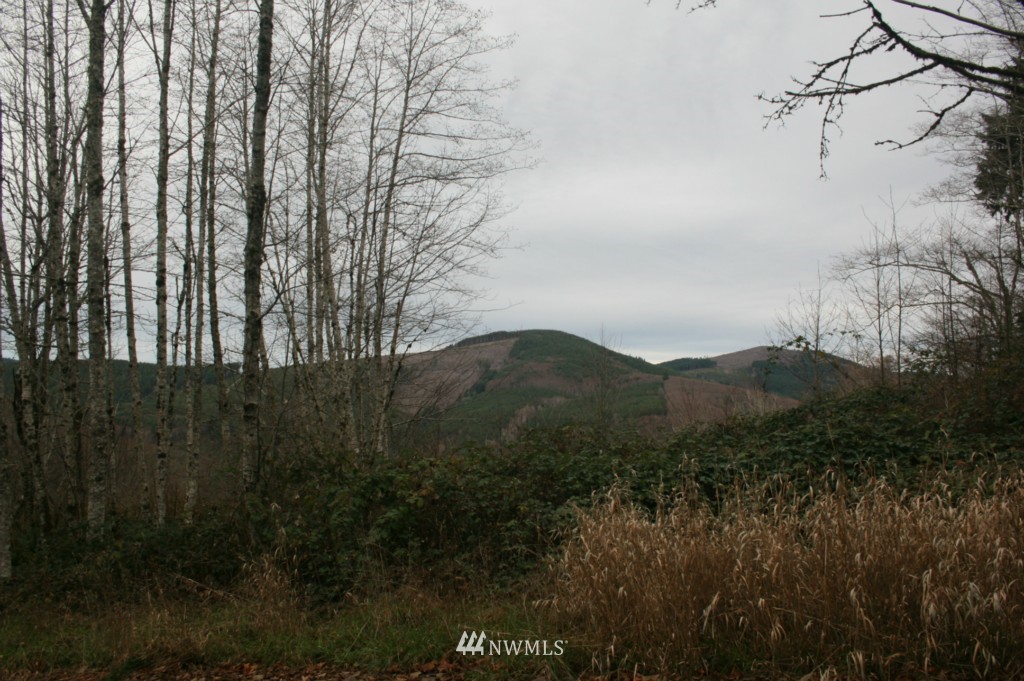 0 Wagner Road Kelso, WA 98626 - Photo 3 of 7 Gallery Image 3