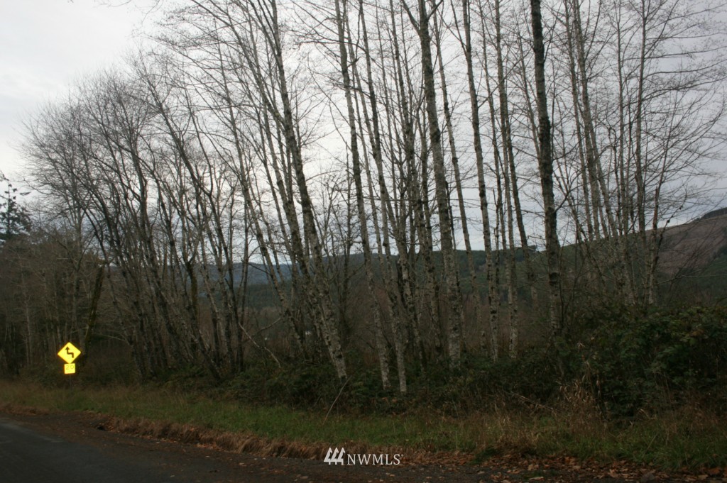 0 Wagner Road Kelso, WA 98626 - Photo 4 of 7 Gallery Image 4