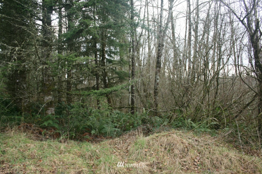 0 Wagner Road Kelso, WA 98626 - Photo 5 of 7 Gallery Image 5