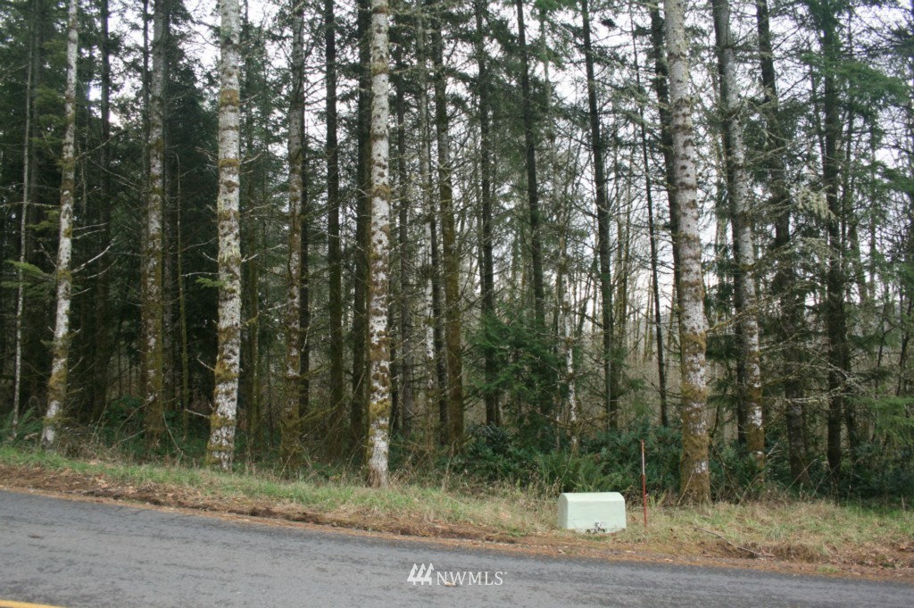 0 Wagner Road Kelso, WA 98626 - Photo 7 of 7 Gallery Image 7