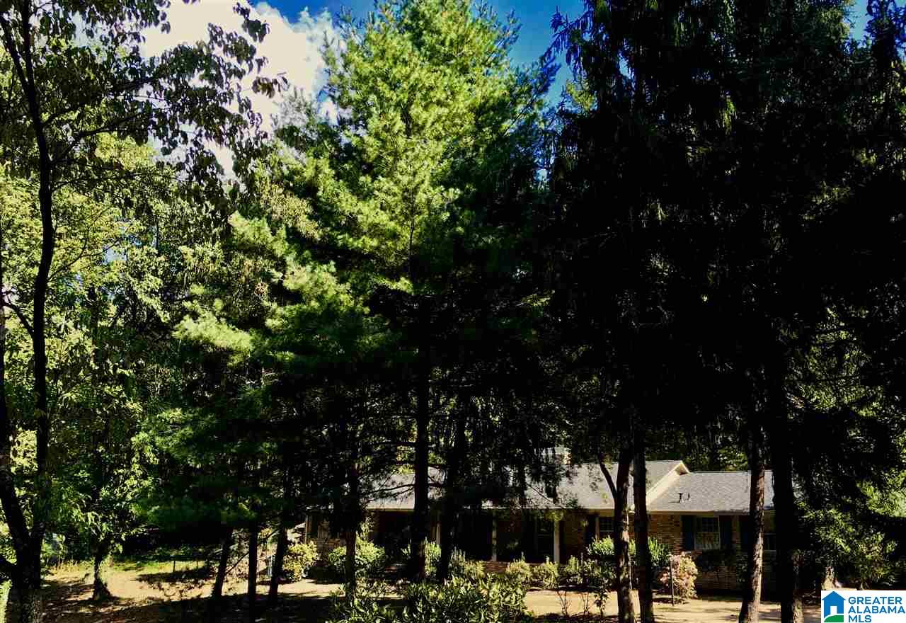 3335 Brookwood Road Birmingham, AL 35223 - Photo 22 of 33