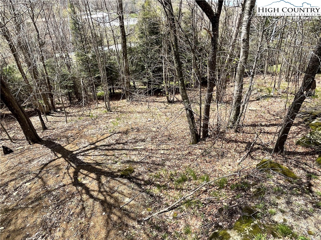 102 Skiview Lane, Unit A3 Beech Mountain, NC 28604 - Photo 17 of 20 a view of outdoor space with trees