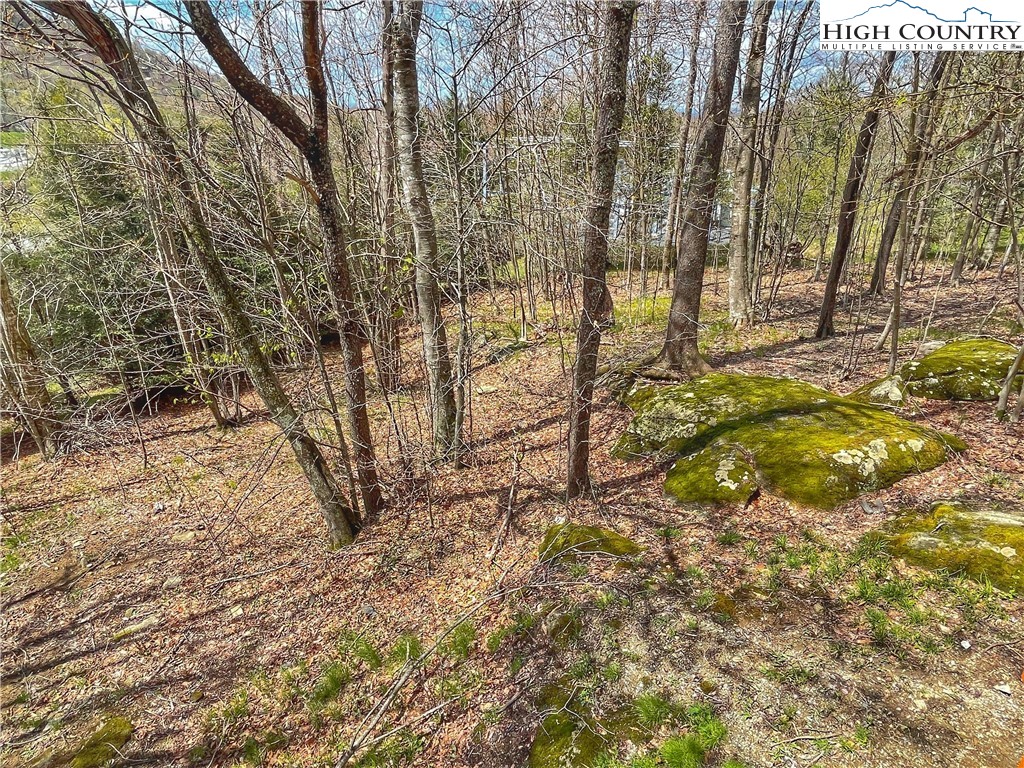 102 Skiview Lane, Unit A3 Beech Mountain, NC 28604 - Photo 18 of 20 a view of backyard of a house