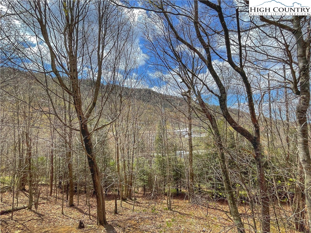 102 Skiview Lane, Unit A3 Beech Mountain, NC 28604 - Photo 19 of 20 a backyard of a house with lots of green space