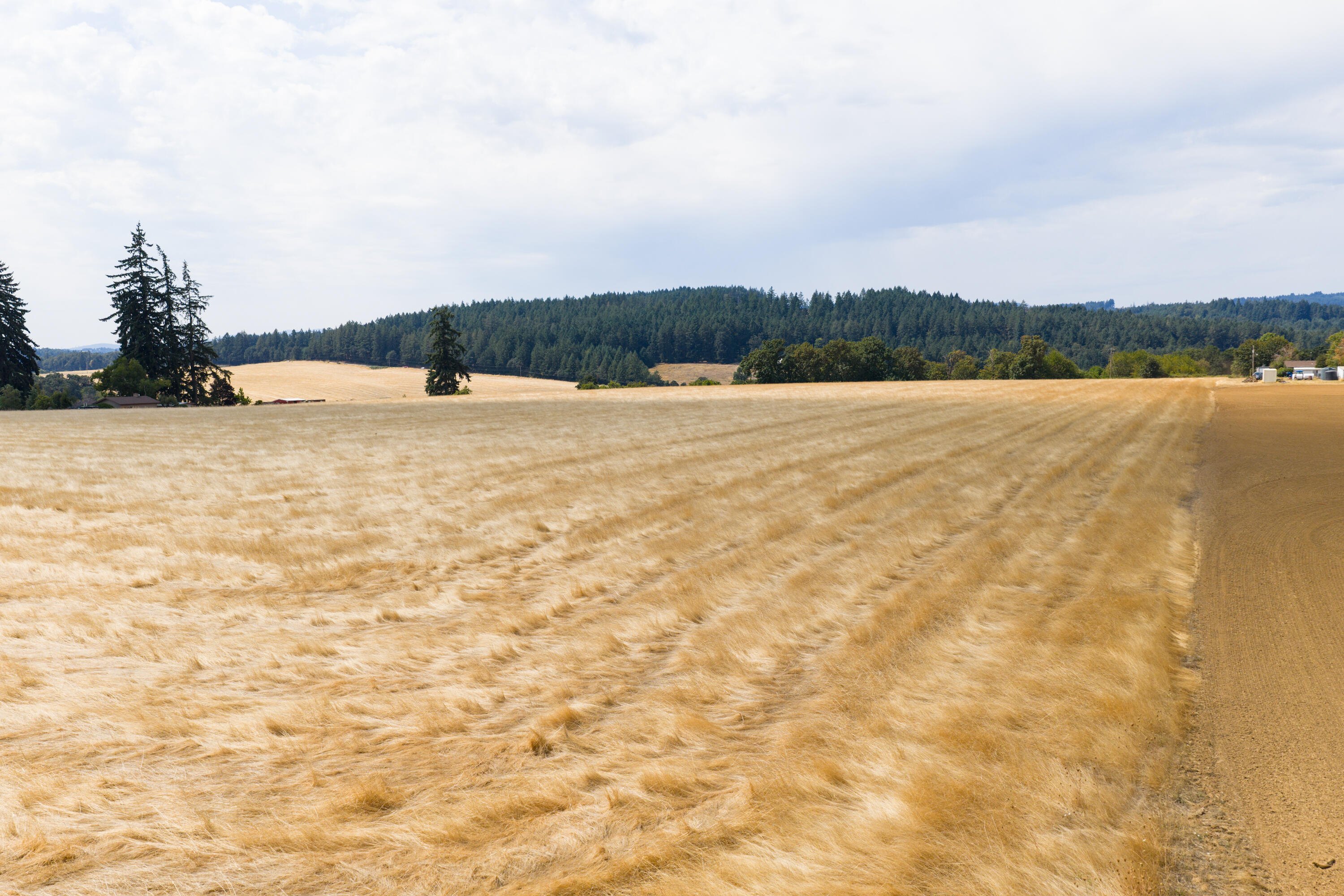 0 Dyck Road Dallas, OR 97338 - Photo 12 of 14 MIT-11
