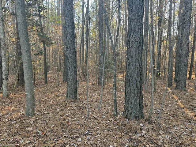$138,500 | Lot 11 Woods Road, Seagrove, NC 27341