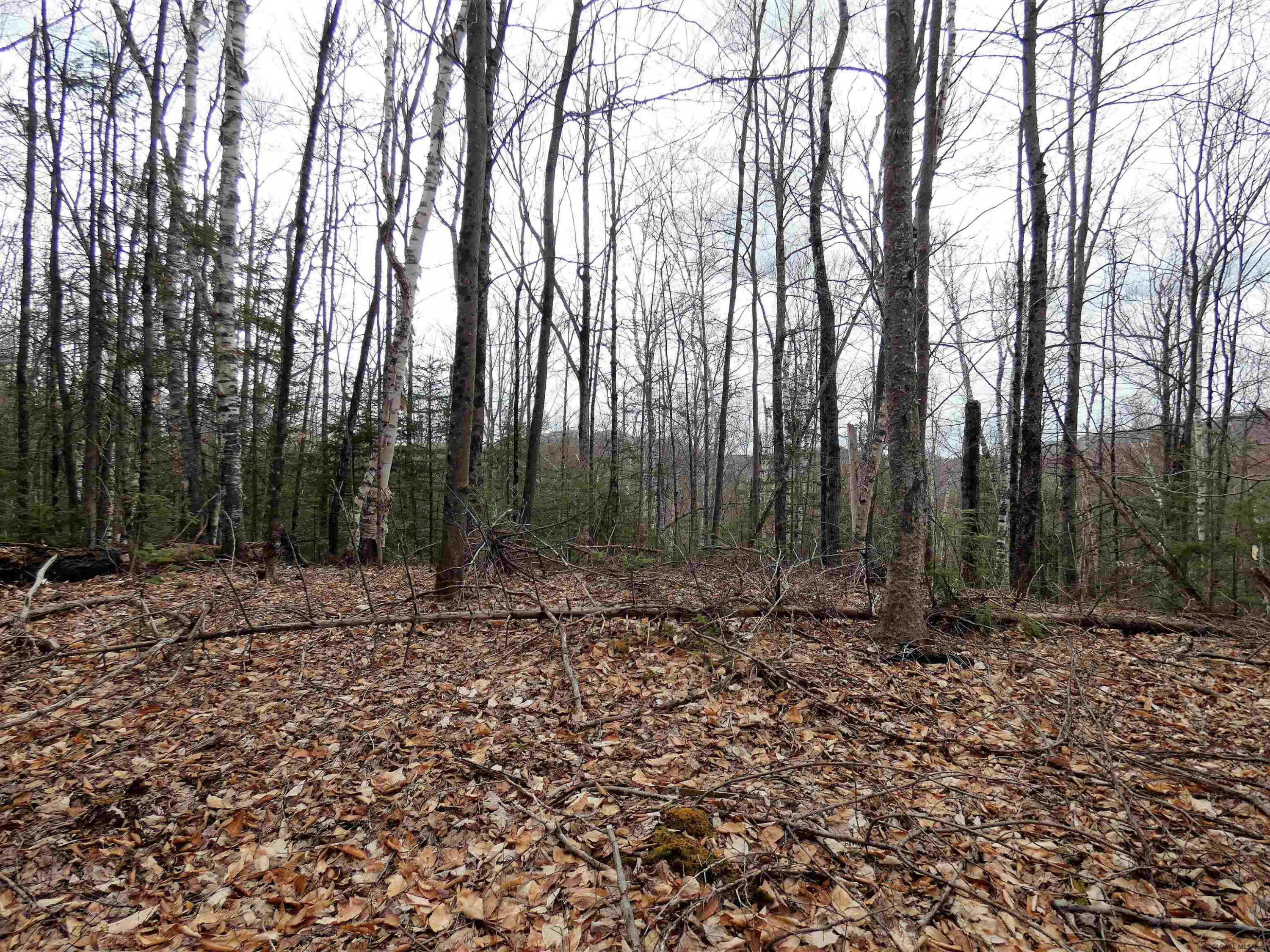0 Goodman Road Johnsburg, NY 12843 - Photo 13 of 18 Photo 13