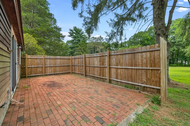 a view of a yard with a tree
