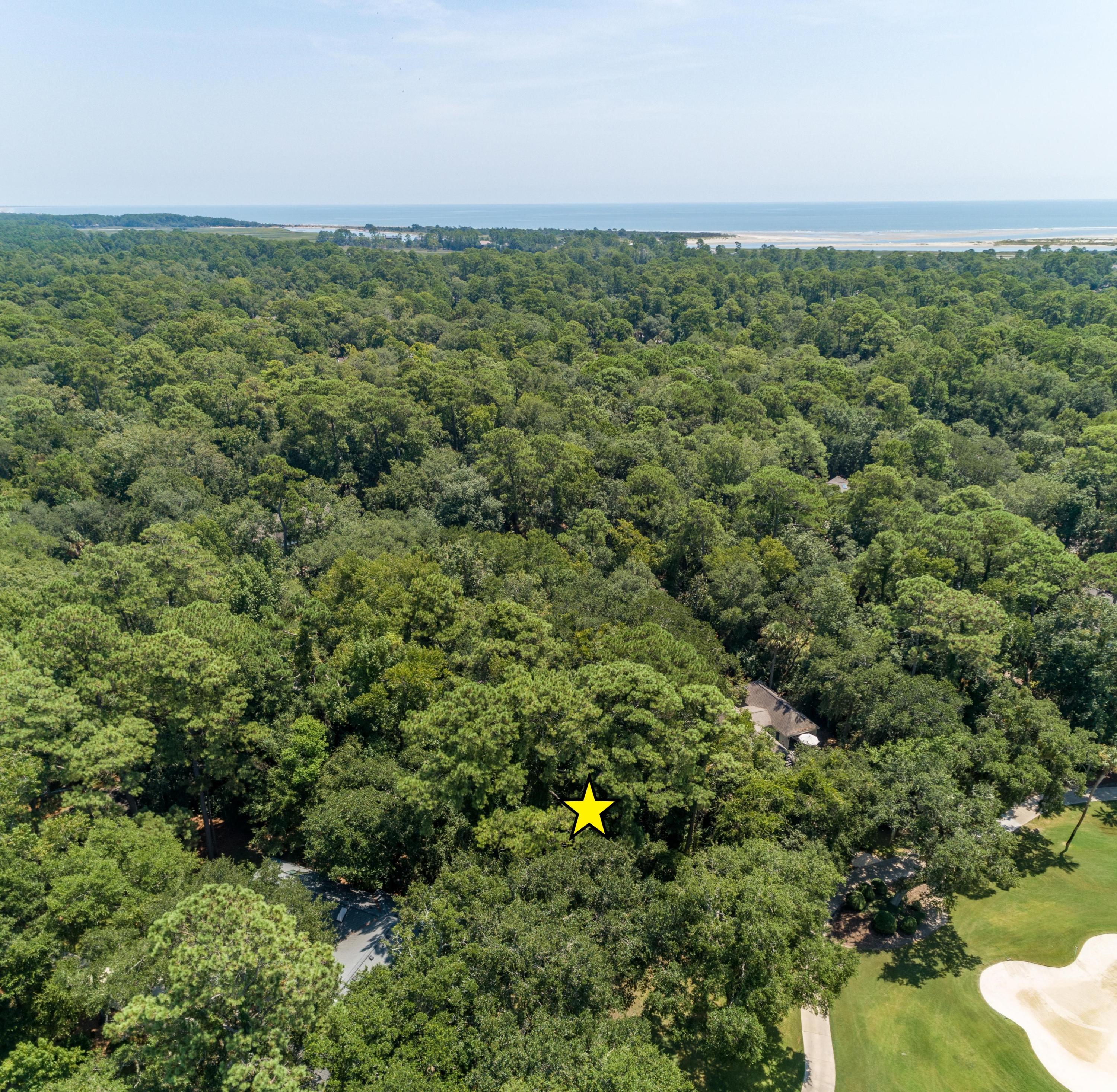 2837 Captain Sams Road Seabrook Island, SC 29455 - Photo 4 of 61 CoastalRealEstatePhotography2837CSams-3