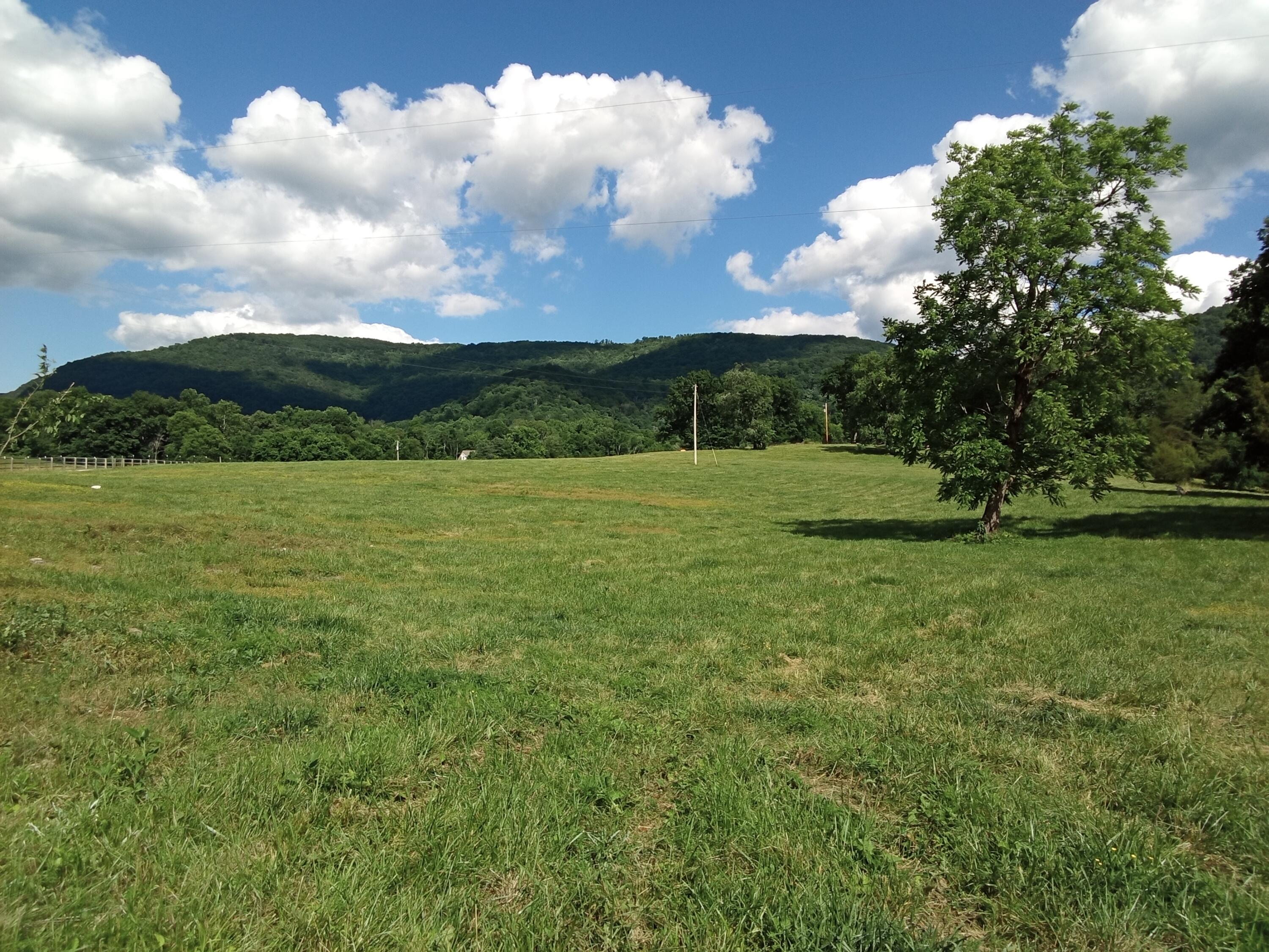 96 Lucky D Farm Road Crossville, TN 38572 - Photo 1 of 29 IMG_2024-05-30-15-55-15-006