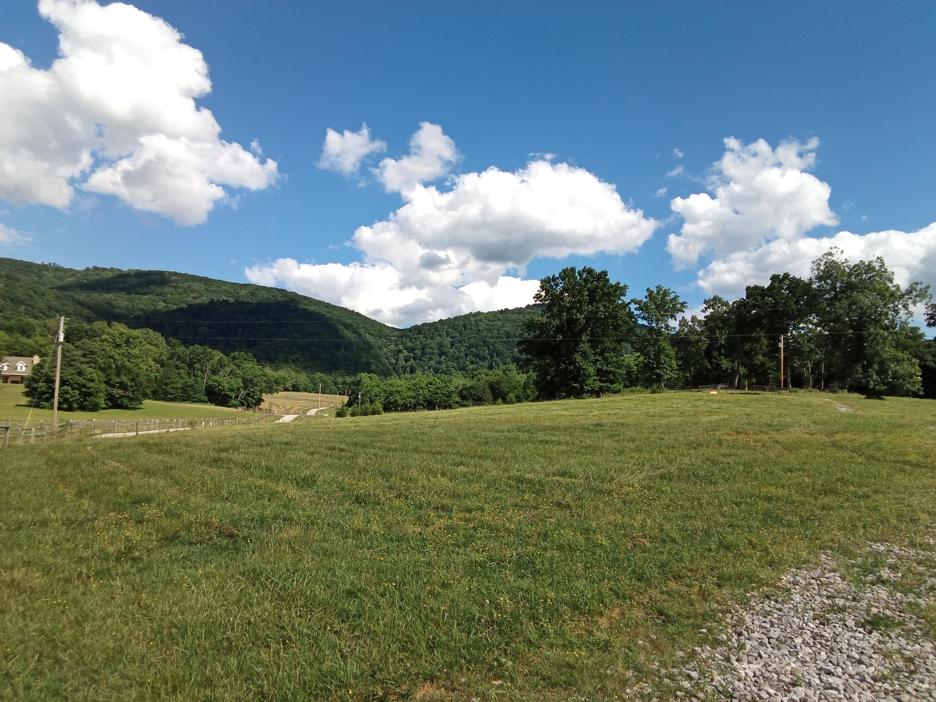 96 Lucky D Farm Road Crossville, TN 38572 - Photo 11 of 29 IMG_2024-05-30-16-02-17-299