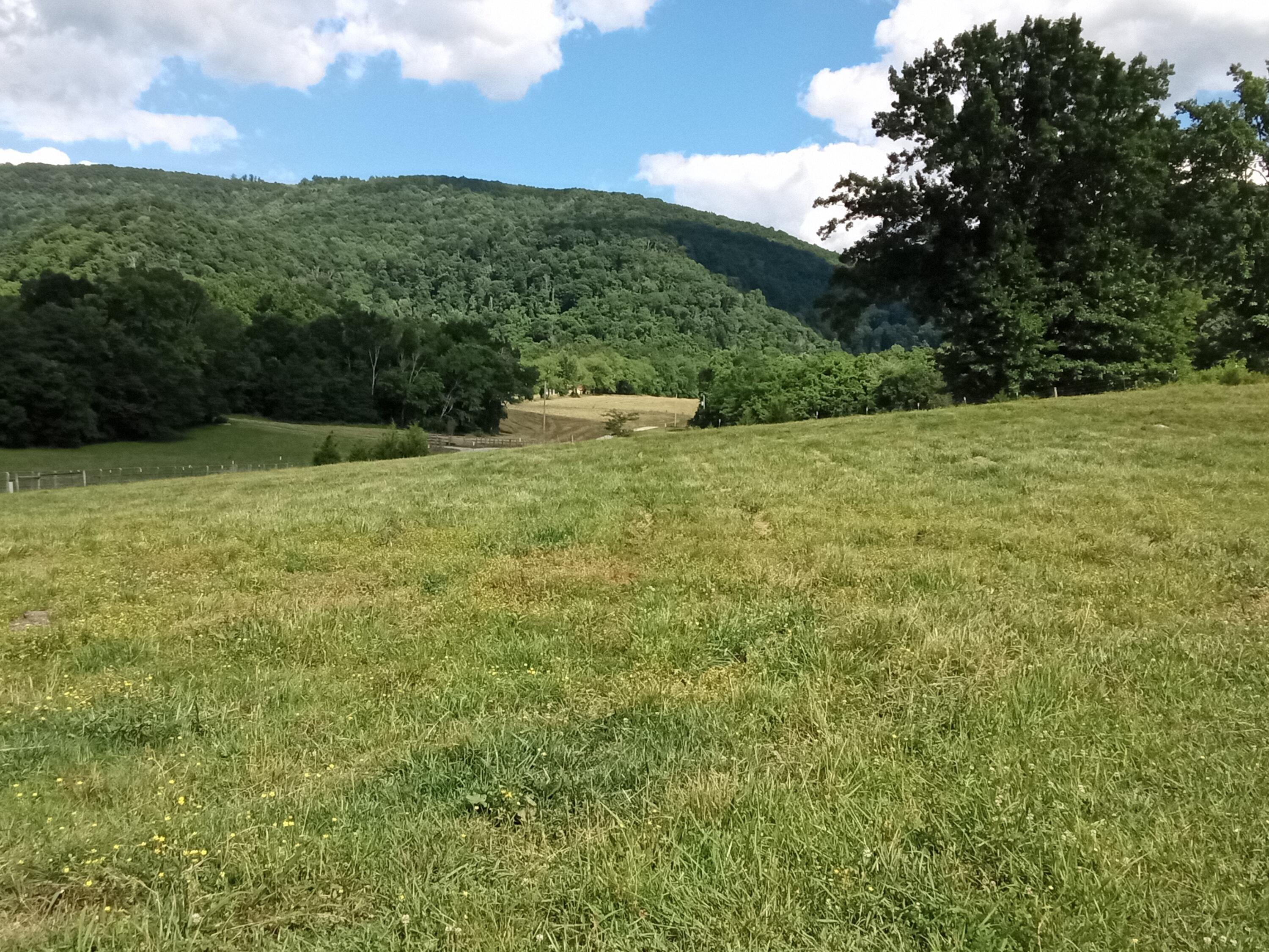 96 Lucky D Farm Road Crossville, TN 38572 - Photo 12 of 29 IMG_2024-05-30-16-03-28-690