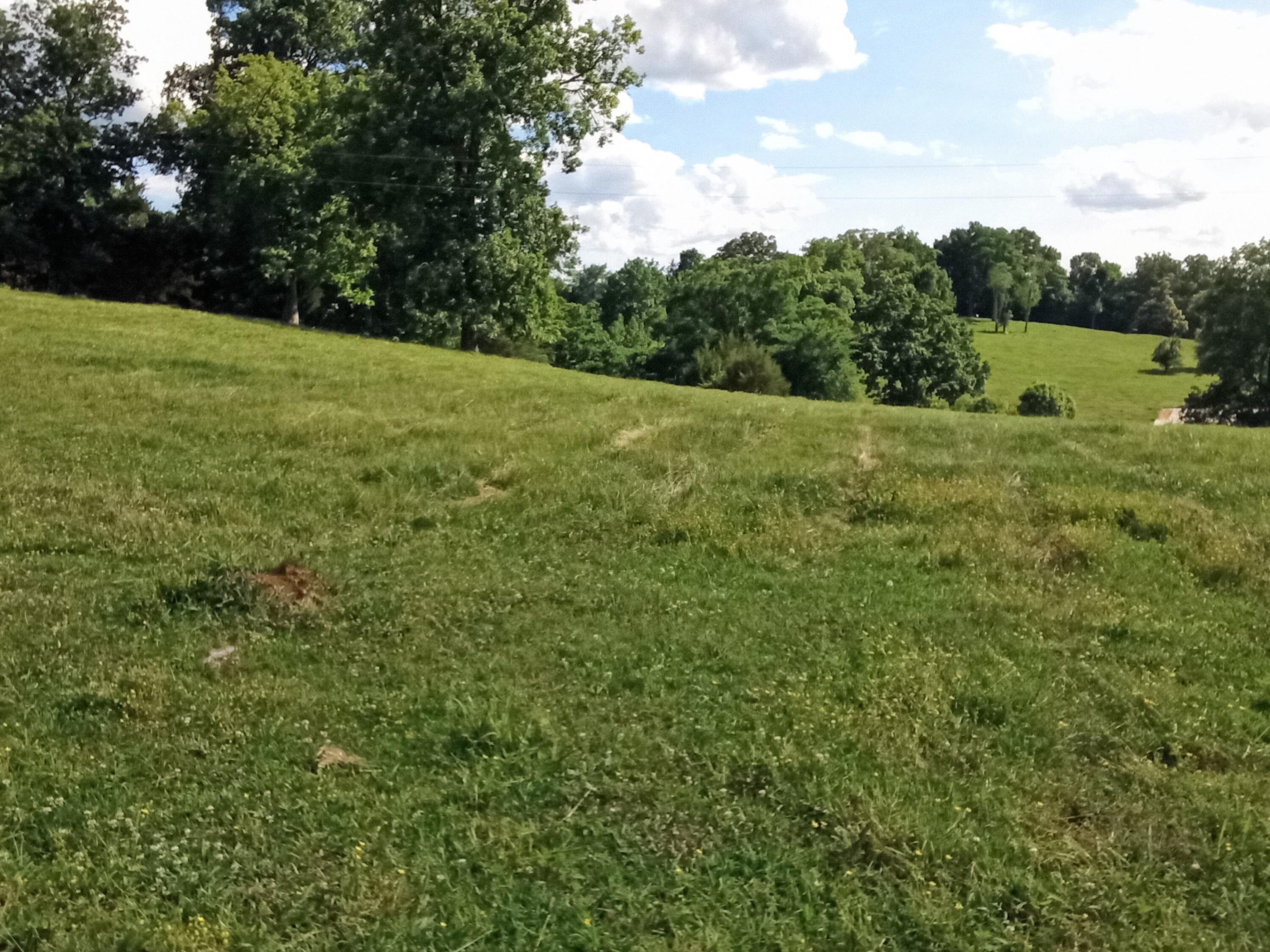 96 Lucky D Farm Road Crossville, TN 38572 - Photo 13 of 29 IMG_2024-05-30-16-03-45-397