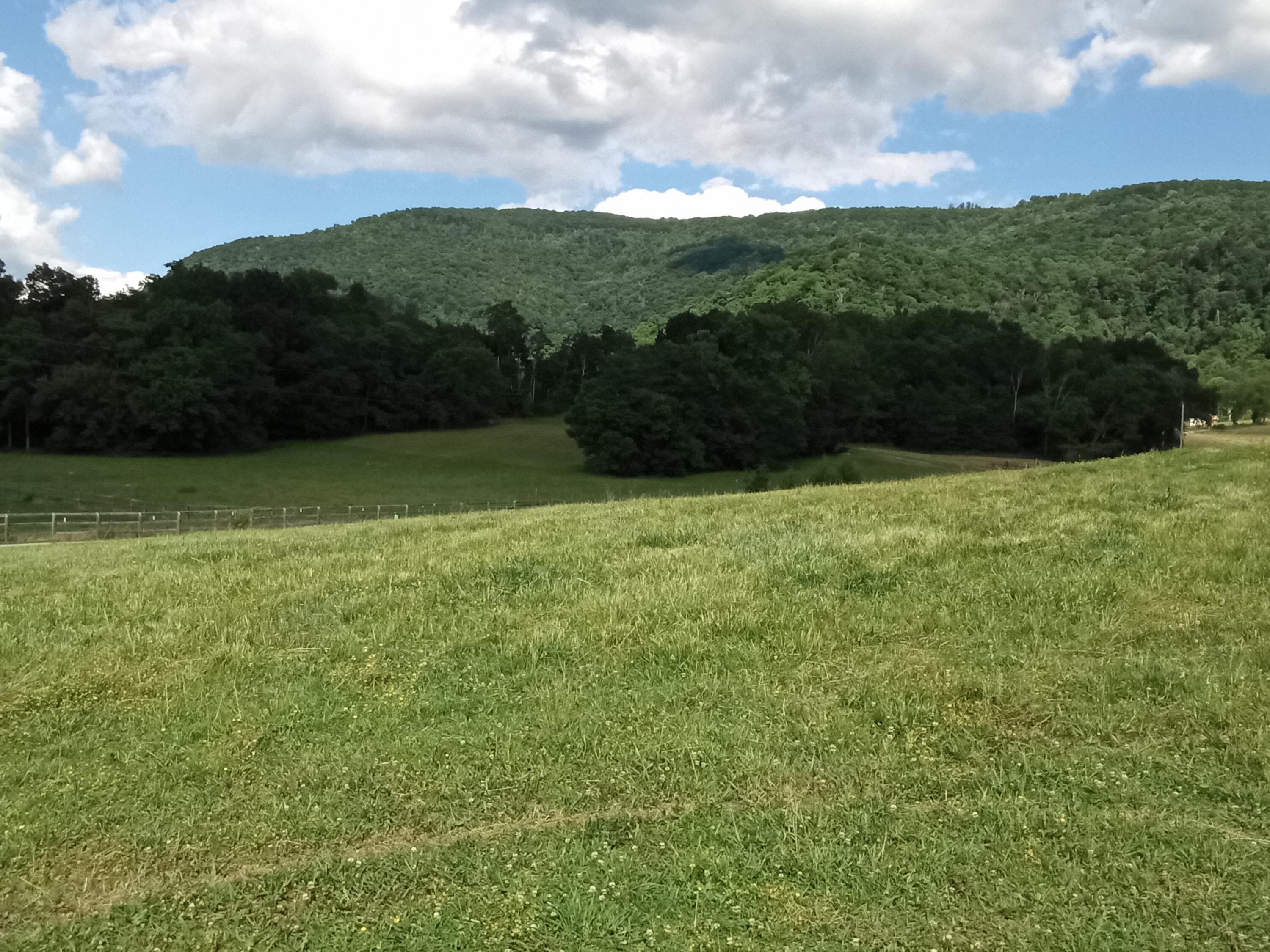 96 Lucky D Farm Road Crossville, TN 38572 - Photo 14 of 29 IMG_2024-05-30-16-03-58-047