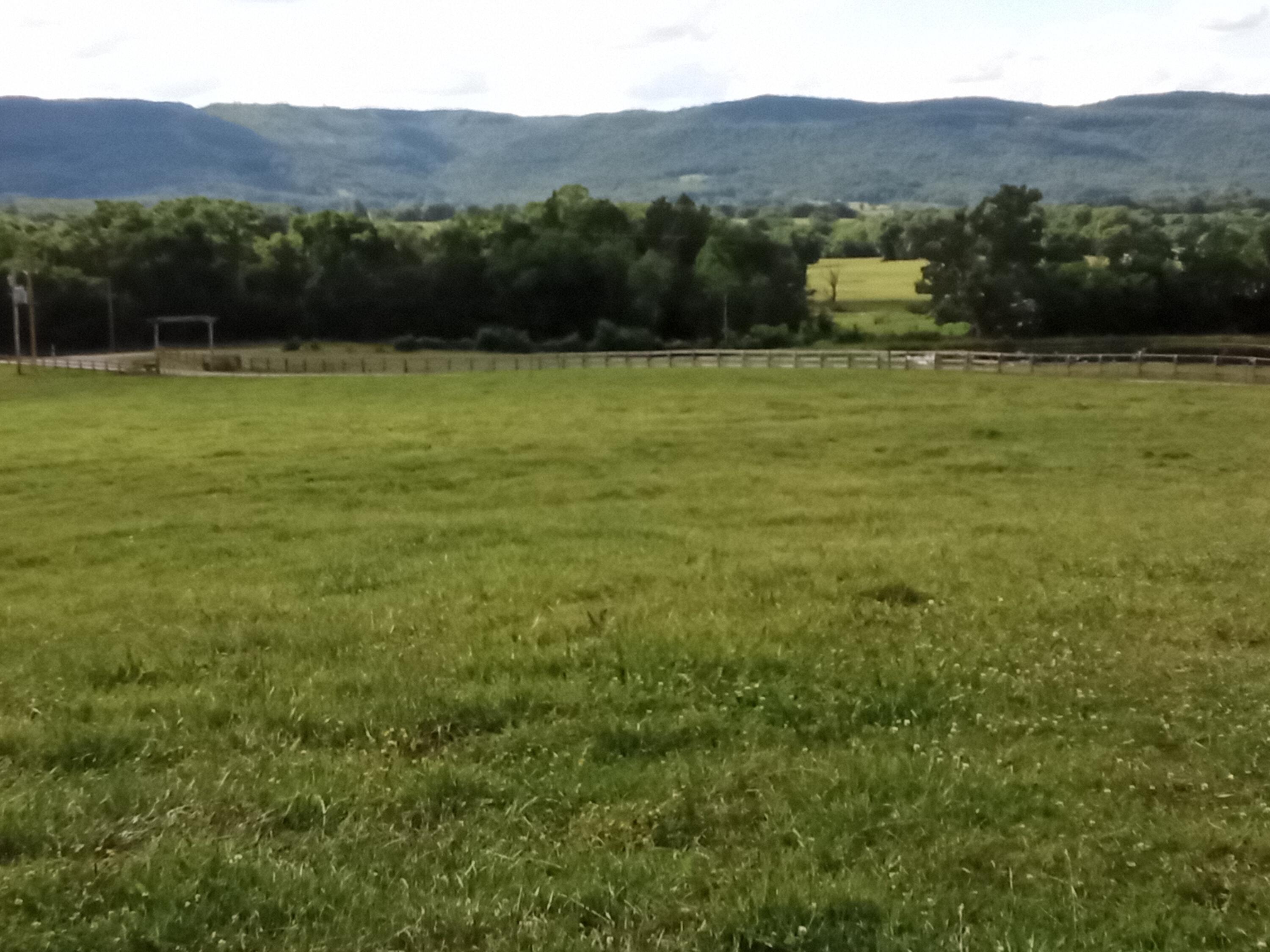 96 Lucky D Farm Road Crossville, TN 38572 - Photo 17 of 29 IMG_2024-05-30-16-04-53-578
