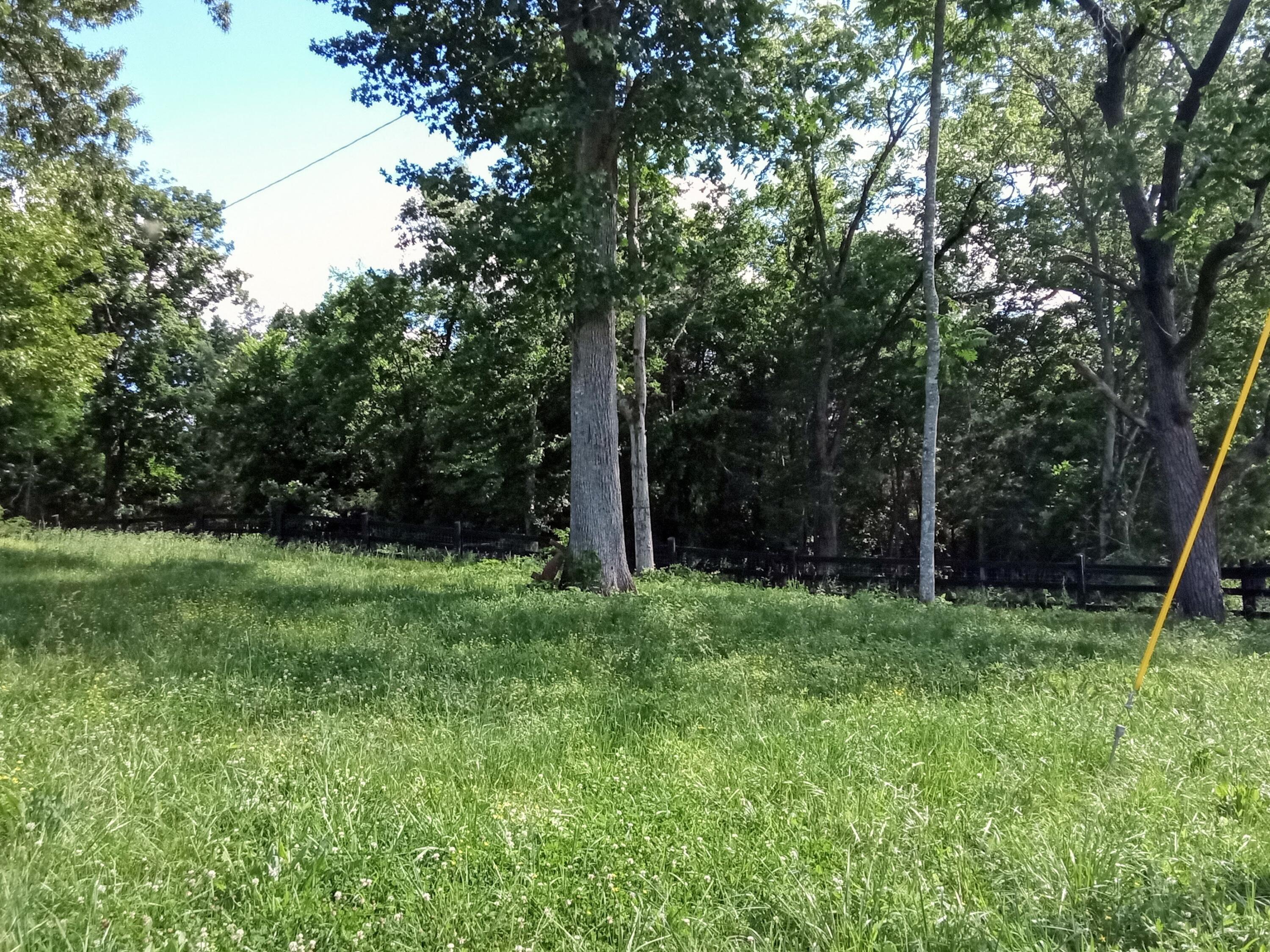 96 Lucky D Farm Road Crossville, TN 38572 - Photo 20 of 29 IMG_2024-05-30-16-06-34-825
