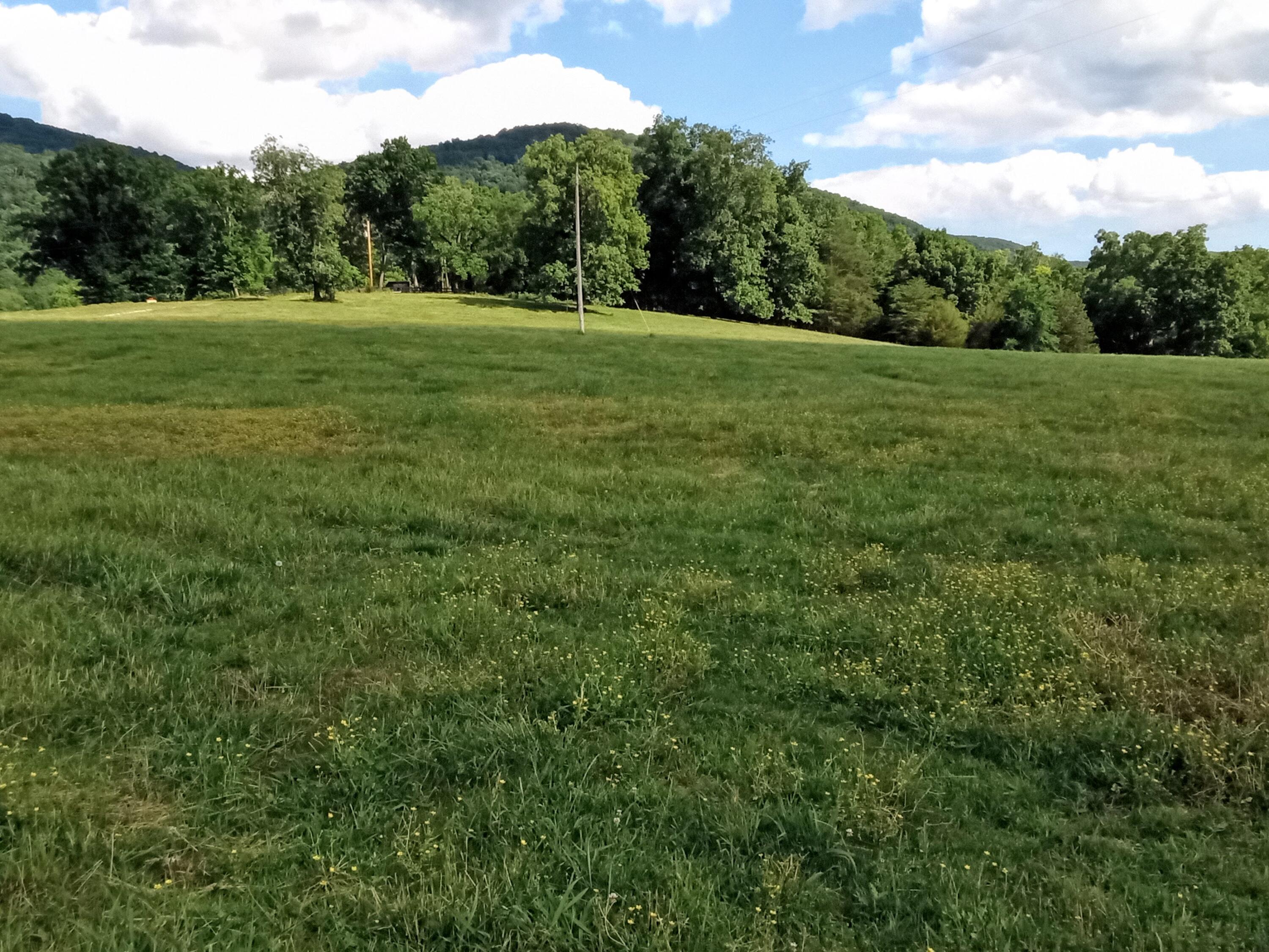 96 Lucky D Farm Road Crossville, TN 38572 - Photo 8 of 29 IMG_2024-05-30-15-59-51-845