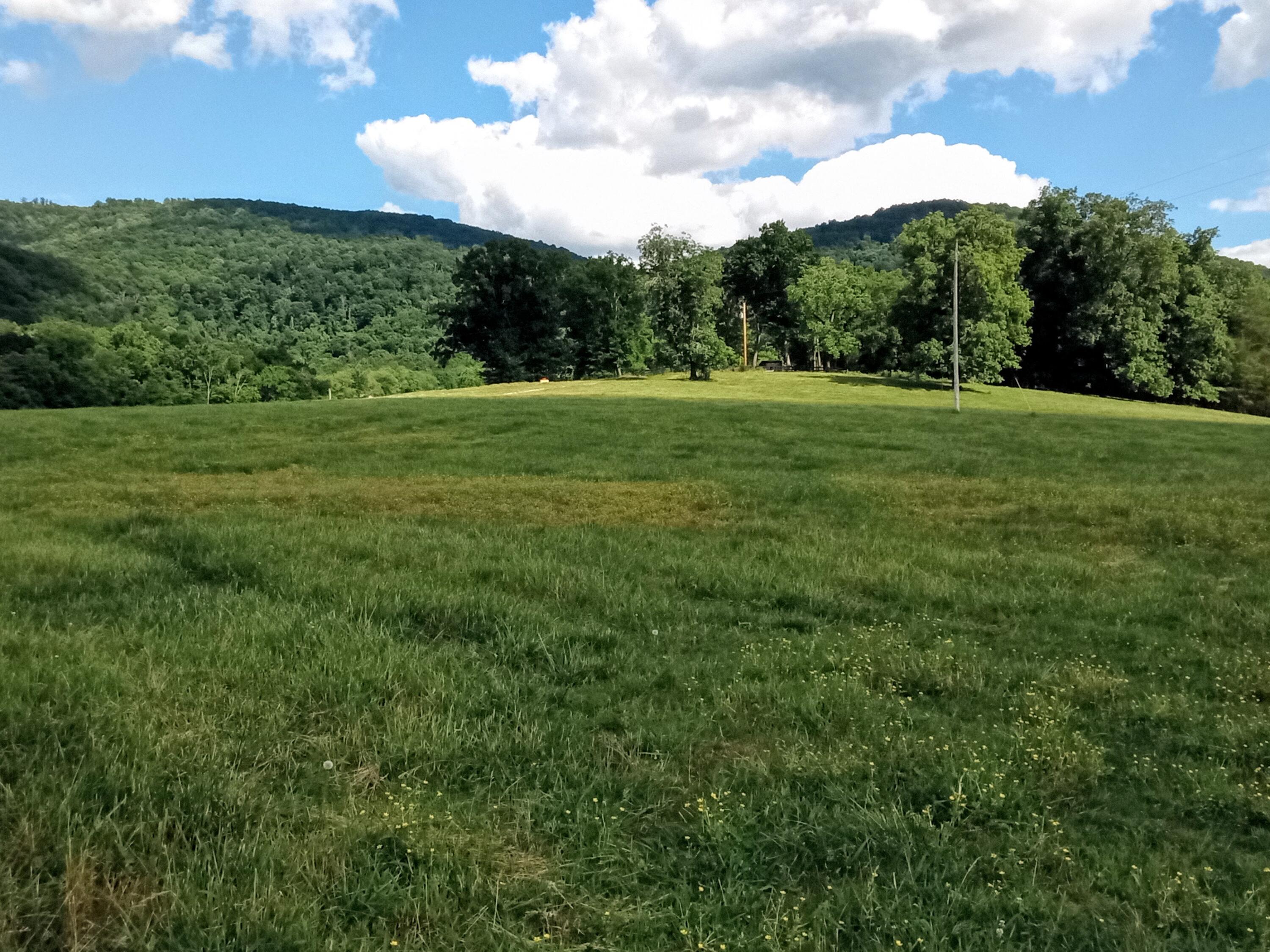 96 Lucky D Farm Road Crossville, TN 38572 - Photo 9 of 29 IMG_2024-05-30-15-59-55-895