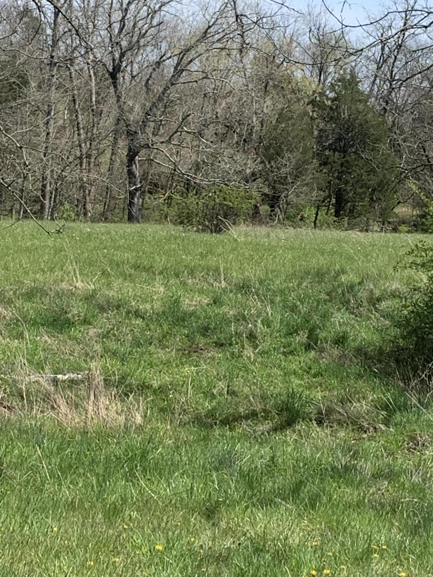 1000 Britton Road Harrodsburg, KY 40330 - Photo 70 of 88 B500DC83-8936-414D-8D65-6D09D407DEE7