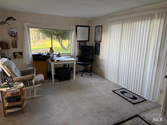 a view of a lake with a nearby beach