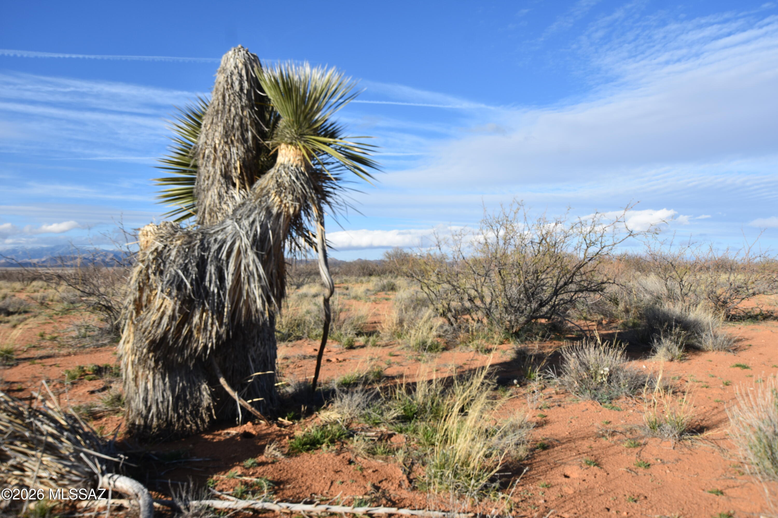 East Howling Wolf Road Willcox, AZ 85643 - Photo 19 of 49