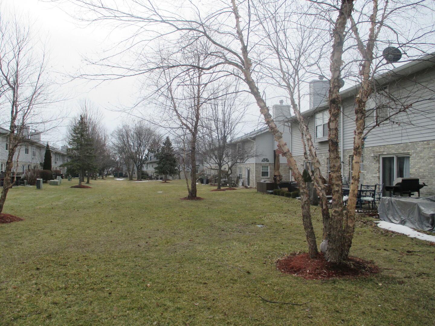 865 Tamarac Boulevard Addison, IL 60101 - Photo 21 of 21 a view of a yard with a tree