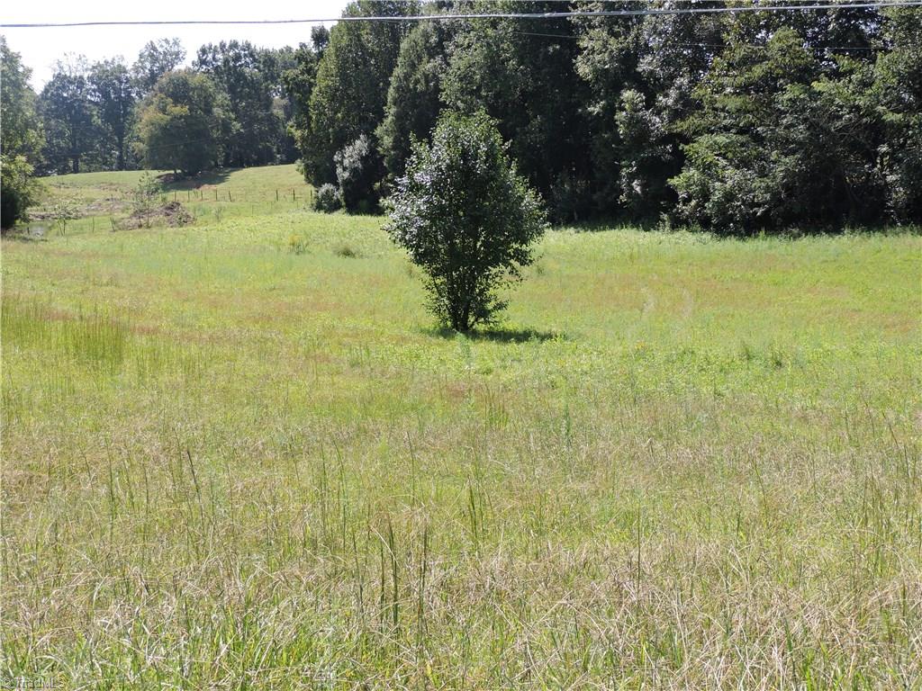 242 Tom Jones Road Ararat, NC 27007 - Photo 4 of 18 Gallery Image 4