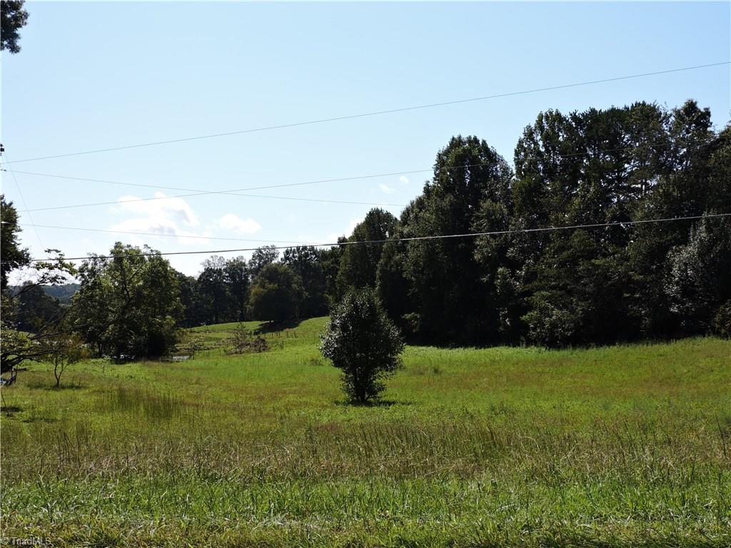 242 Tom Jones Road Ararat, NC 27007 - Photo 5 of 18 Gallery Image 5
