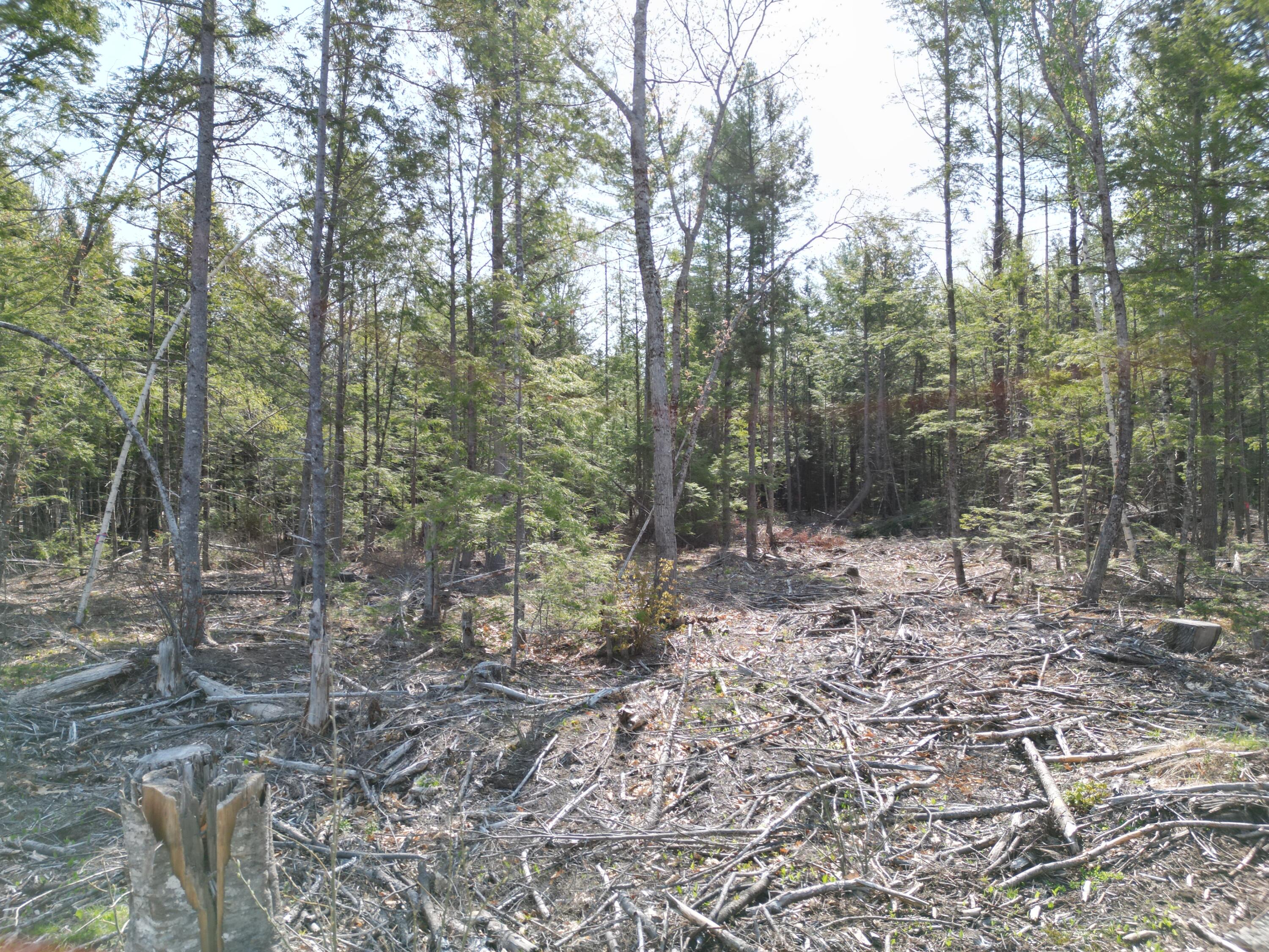 Lot 1 Mattamiscontis Road Howland, ME 04448 - Photo 4 of 15 DJI_0512