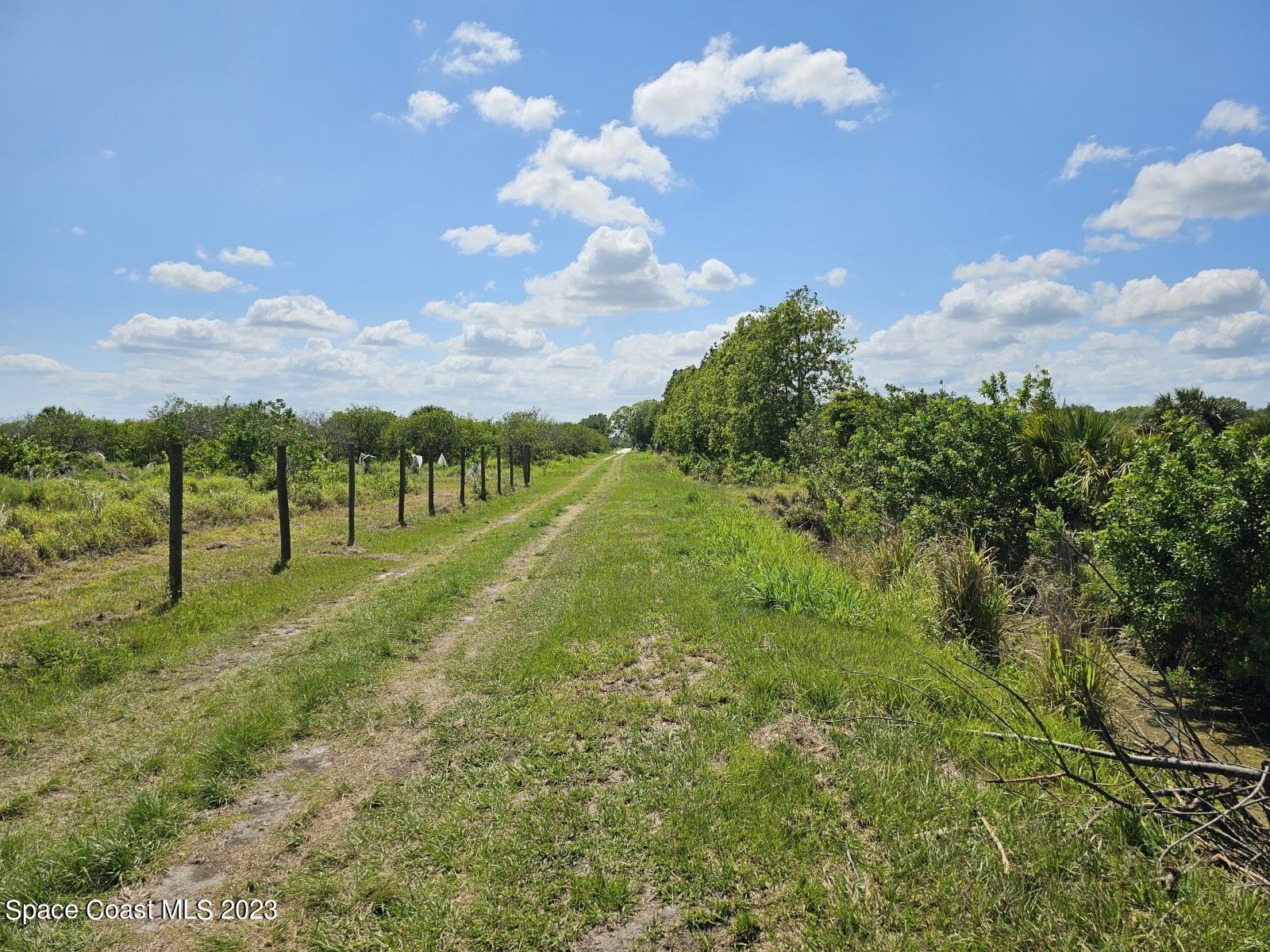 a view of building with garden