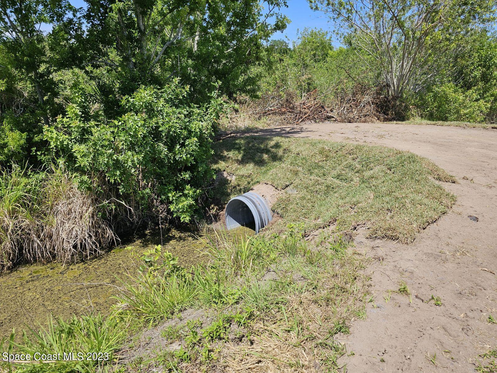 0 Davis Road Mims, FL 32754 - Photo 3 of 8 a backyard of a house with lots of green space