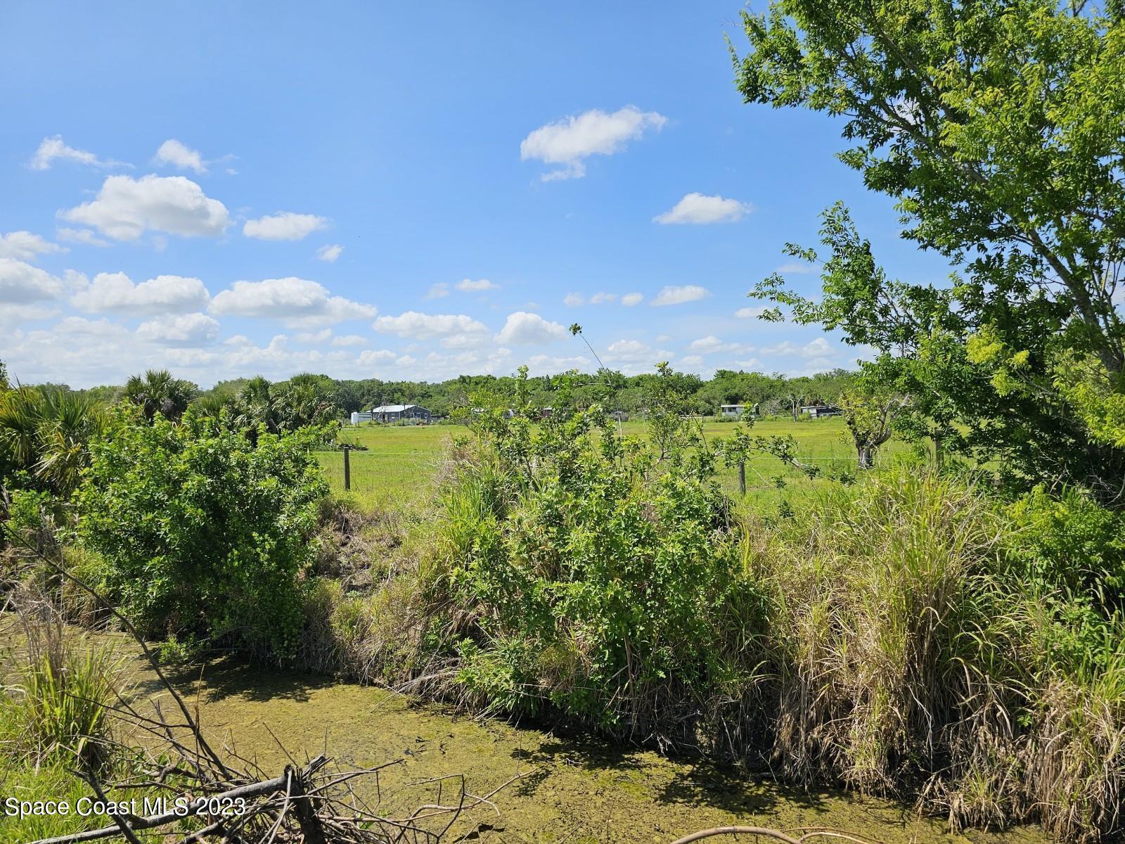 0 Davis Road Mims, FL 32754 - Photo 5 of 8