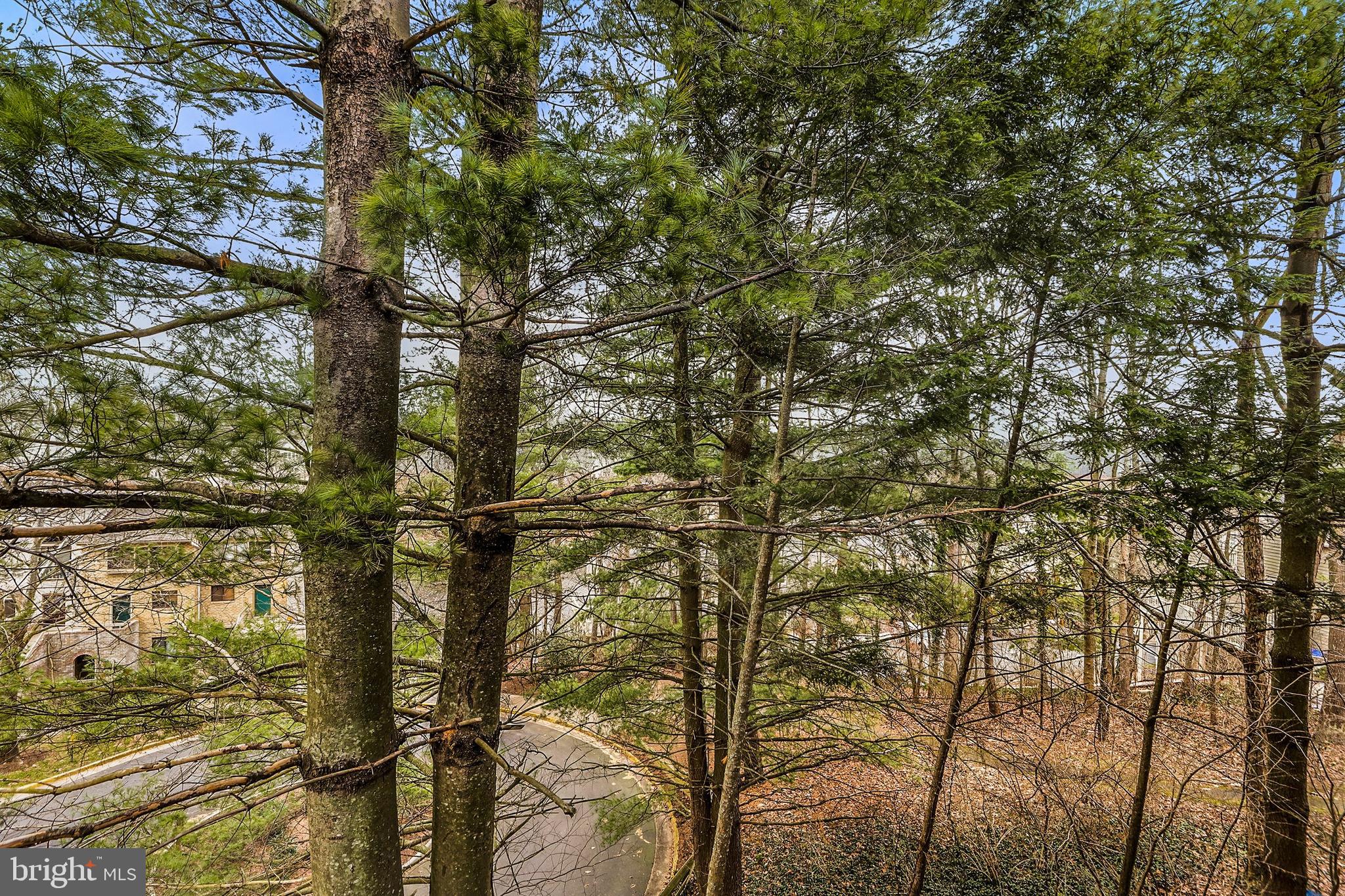 11182 Beaver Trail Court Reston, VA 20191 - Photo 24 of 28 Gallery Image 24