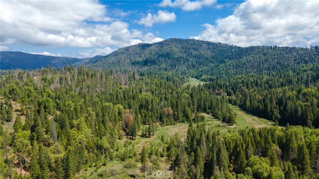 5657 Worman Road Ahwahnee, CA 93601 - Photo 38 of 40
