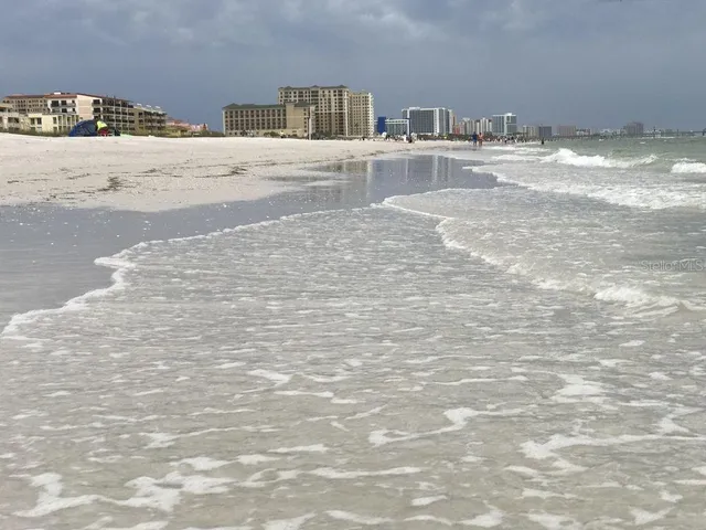 a view of a yard with plants