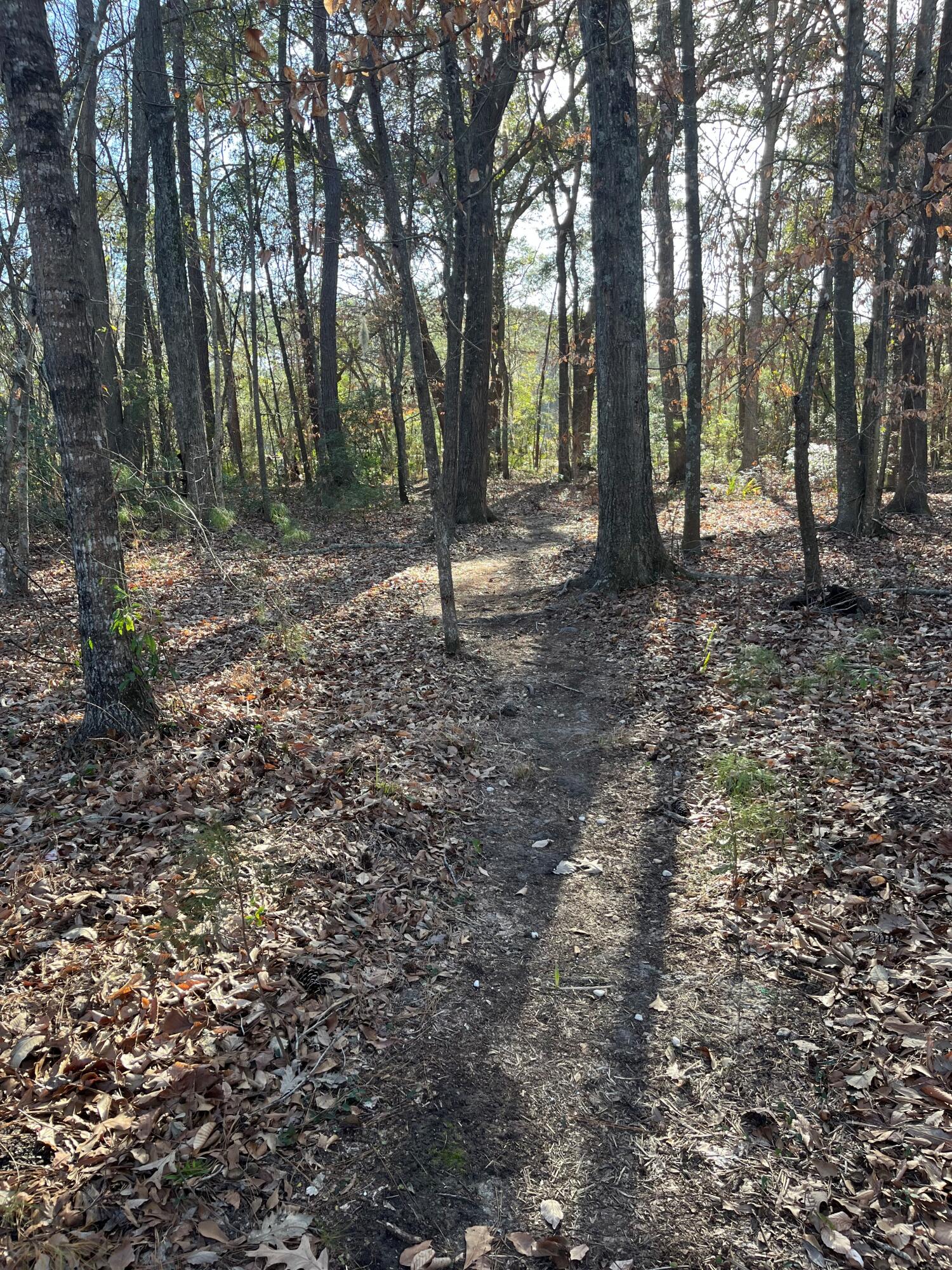 1109 Rearick Road Johns Island, SC 29455 - Photo 50 of 51 image01