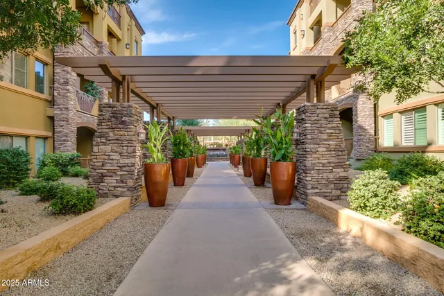 a view of a patio with potted plants