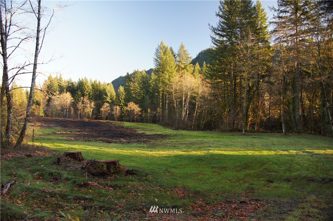 11105 Lewis River Road Ariel, WA 98603 - Photo 1 of 27 Gallery Image 1