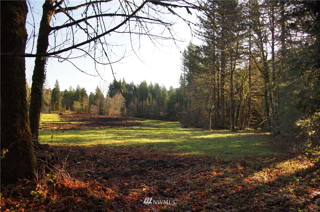 11105 Lewis River Road Ariel, WA 98603 - Photo 11 of 27 Gallery Image 11