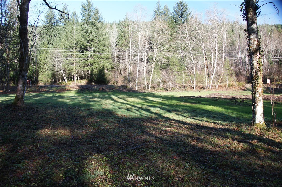 11105 Lewis River Road Ariel, WA 98603 - Photo 13 of 27 Gallery Image 13