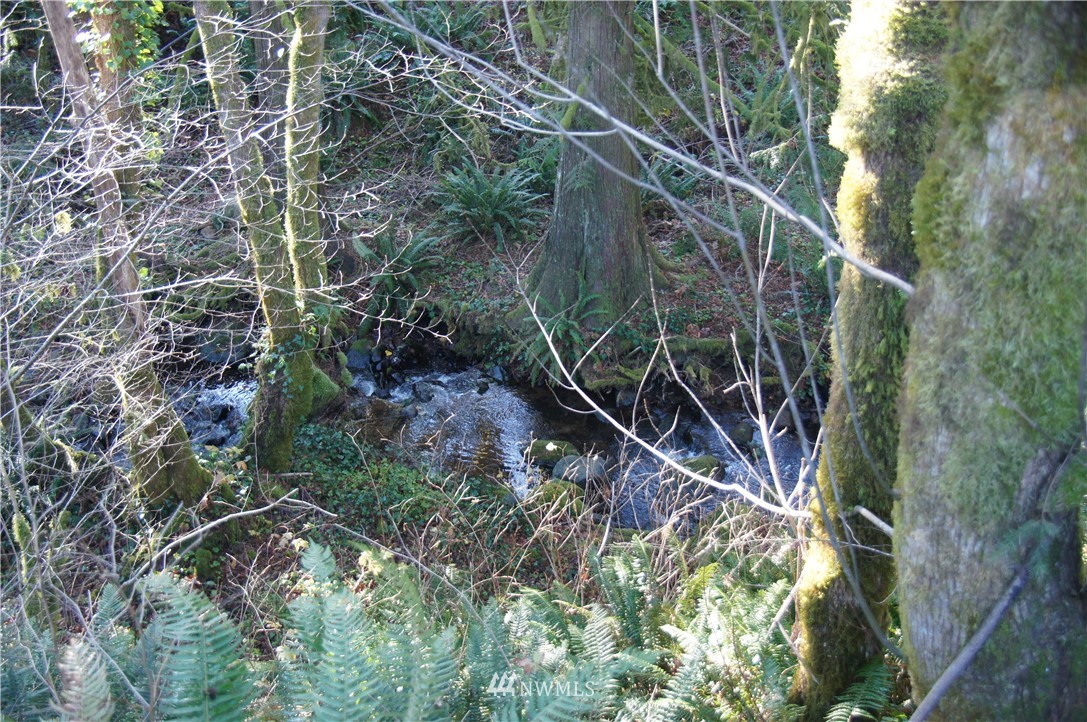 11105 Lewis River Road Ariel, WA 98603 - Photo 14 of 27 Gallery Image 14