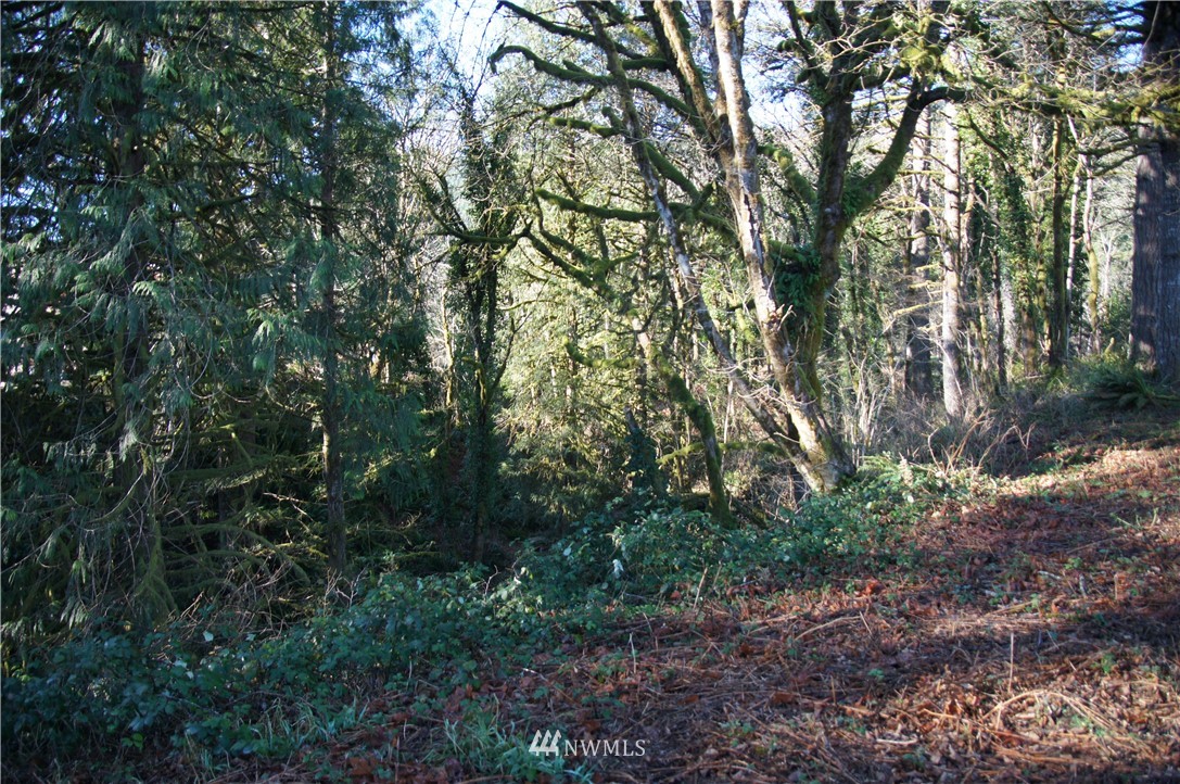 11105 Lewis River Road Ariel, WA 98603 - Photo 15 of 27 Gallery Image 15