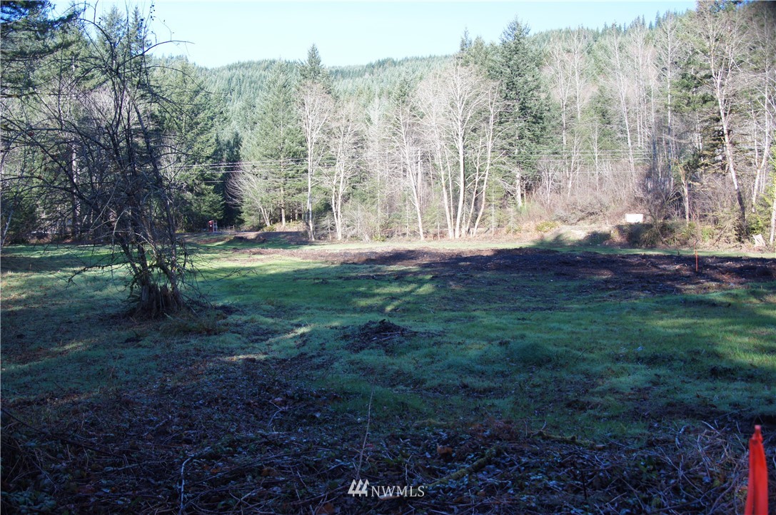 11105 Lewis River Road Ariel, WA 98603 - Photo 16 of 27 Gallery Image 16
