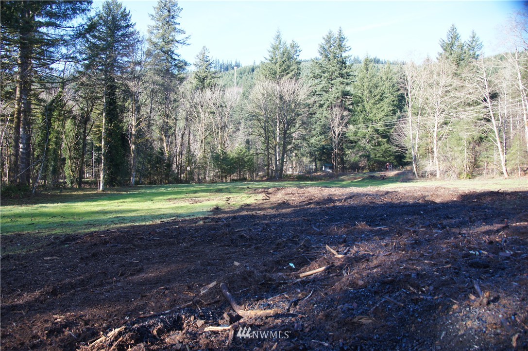 11105 Lewis River Road Ariel, WA 98603 - Photo 17 of 27 Gallery Image 17