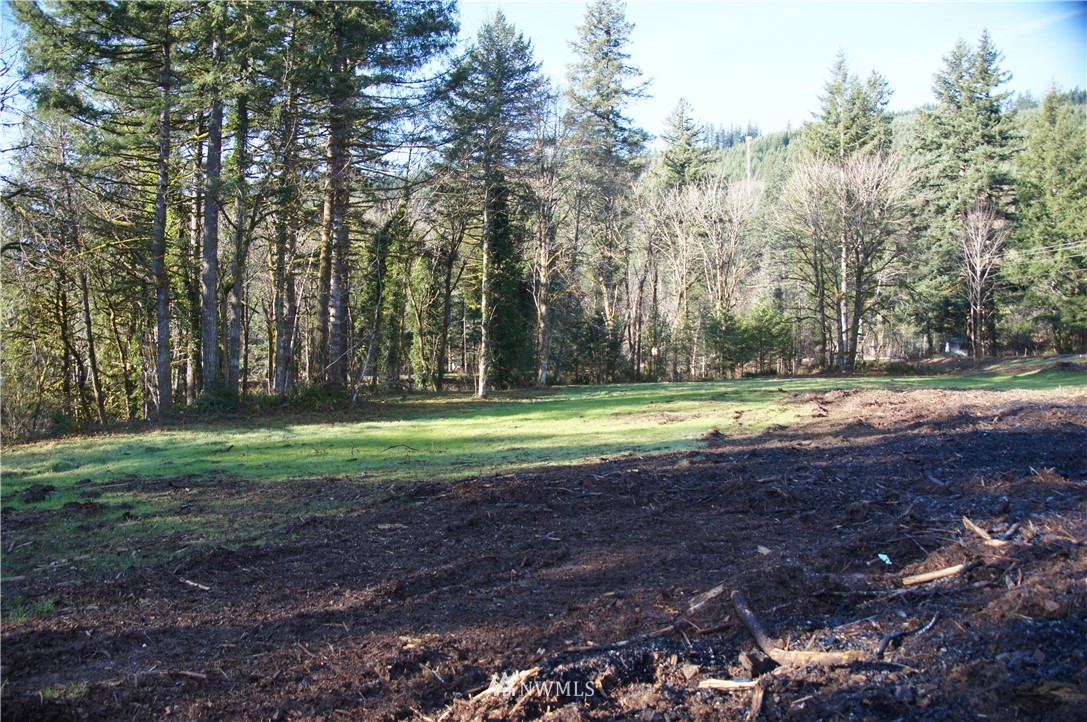 11105 Lewis River Road Ariel, WA 98603 - Photo 18 of 27 Gallery Image 18