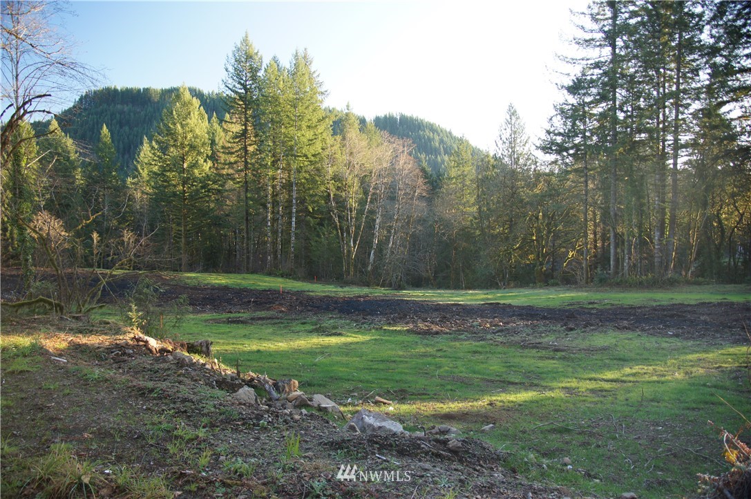 11105 Lewis River Road Ariel, WA 98603 - Photo 3 of 27 Gallery Image 3