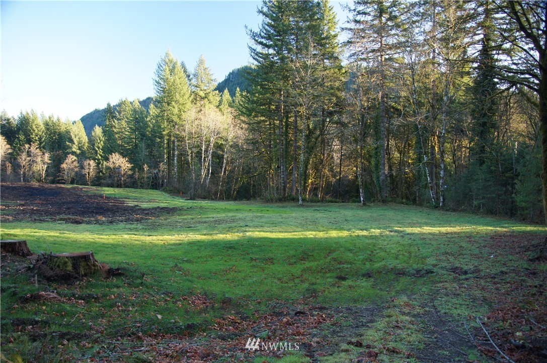 11105 Lewis River Road Ariel, WA 98603 - Photo 4 of 27 Gallery Image 4
